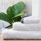 Πετσέτα Προσώπου Hauz Viscose White